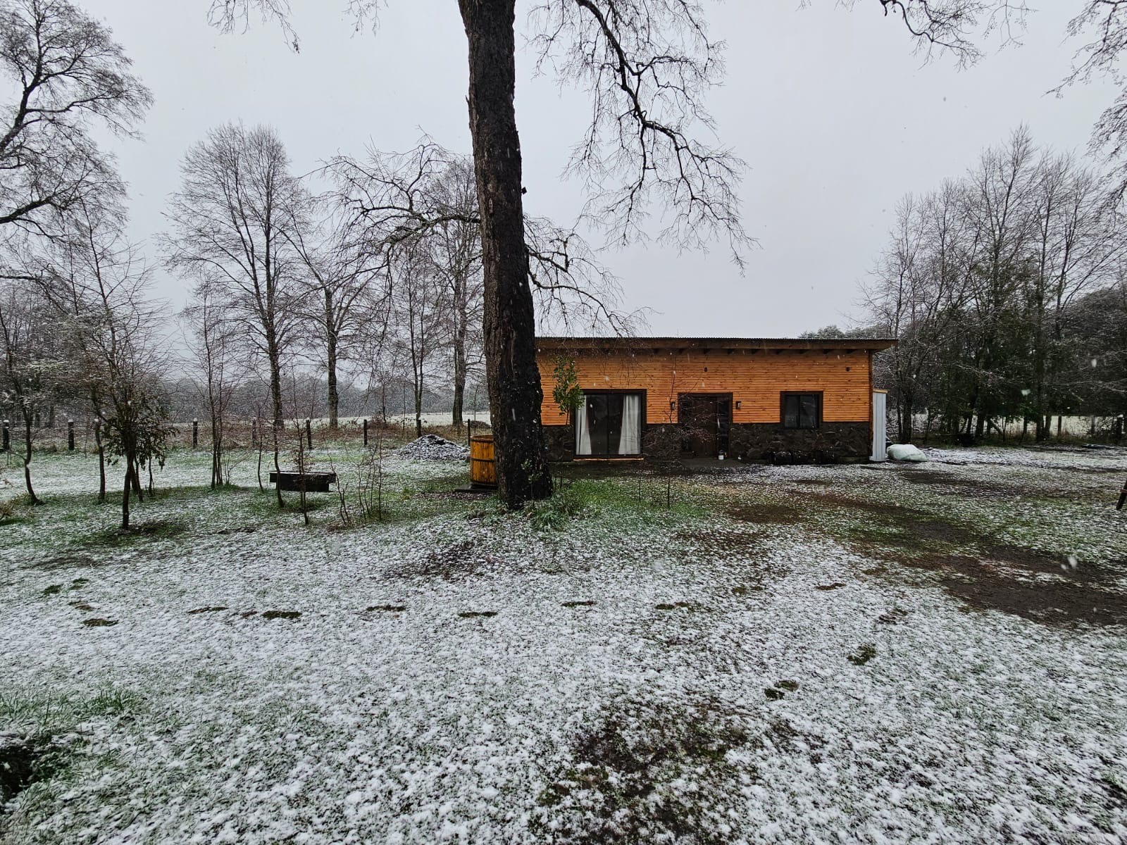 Cabañas en Conguillío - contacto-vista-general.jpeg