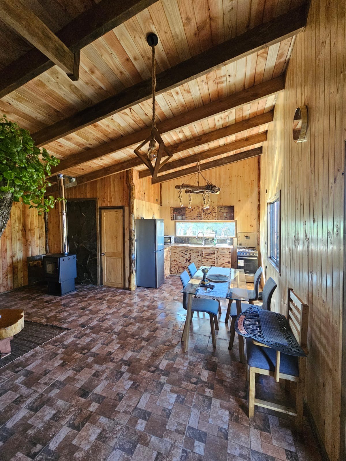 Cabañas en Conguillío - interior-cabana-con-planta-decorativa.jpeg