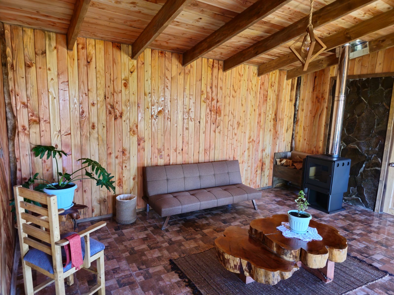 Cabañas en Conguillío - living-con-sofa-y-planta.jpeg